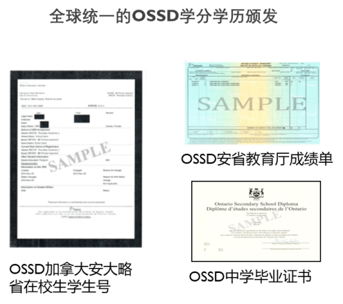 37cacdc7c41fe34299f7de013135d774.png